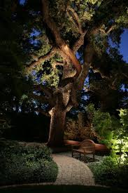 Up Lighting On Trees Always Looks So Dramatic Hmmm A Little Drama In The Side Yard Might Be Landscape Lighting Design Landscape Lighting Backyard Lighting