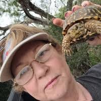 900+ "Tampa -" profiles