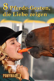 8 Pferde Gesten Die Liebe Zeigen Auf Ponymag Entdecken Pony Pferd Reiten Pferdesprache Ponyhof Stall Stallaltag Leben Pferde Pony Pferd Pferde Liebe