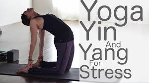 Yoga For Stress Relief Yin And Yang With Lesley Fightmaster Yoga For Stress Relief Yin Yoga Sequence Yin Yang Yoga Sequence