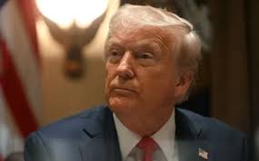 Ontario names, DJ Wassenaar & Matt Bergman, of Jarvis, 2024 Outstanding  Young Farmer