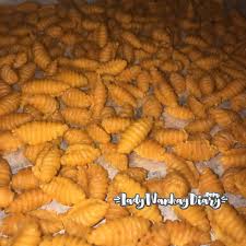 Kuih akok atau dikenali dengan nama akok adalah sejenis kuih tradisional negeri cik siti wan kembang pak wan, tanah serendah sekebun bunga iaitu kelantan. Resepi Kuih Siput Yang Sedap Dan Rangup Ladywankaydiary Com