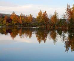 We did not find results for: Schonbrunner See Foto Bild Landschaft Bach Fluss See See Teich Tumpel Bilder Auf Fotocommunity
