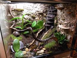 Geckobut Aquarium Vivarium Aquarium Leopard Leopard Wouldnt Buyers Ideas Guide Gecko Ideas Home C Gecko Vivarium Leopard Gecko Leopard Gecko Tank