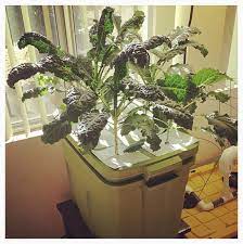 Diy Aeroponics 6 Plant Tub With Built In Reservoir Aquaponics System Aquaponics Aeroponics