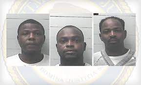 Bjp times of india kolkata: Nigerians Get Lengthy Prison Terms For Romance Scams