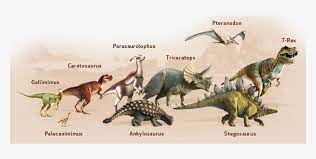 Finally the game gives you several optional accessories that positively or negatively affect your score. Dinosaurs Carnivores Dinosaur Hunter Reborn Dinosaur List Transparent Png 768x334 Free Download On Nicepng