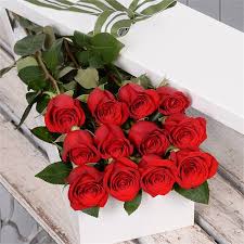 We did not find results for: Valentine S Day 12 Red Roses Flowers Sarah S Flowers Your Friendly Florist 1300 448 335