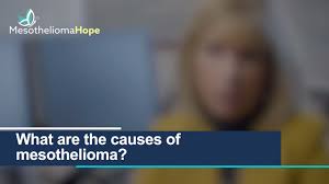 We know that asbestos causes most cases of pleural mesothelioma. What Causes Mesothelioma How You Get Mesothelioma Risk Factors