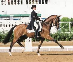 Anky van grunsven inched closer to overall leader ulla salzgeber after winning monday's grand prix special. Anky Van Grunsven Ned On Bonfire Barcelona Games Horses Barcelona Game Equestrian