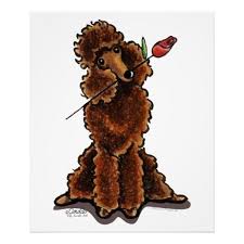 Pin By Mona Monaliza On Poodle Chocolate Poodle Poodle Puppy Poodle Dog