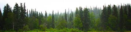 Seattle, wa 98102 from business: Shawn Jensen Executive Assistant To The Ceo Cfo Coo And President Ssa Marine Inc Linkedin