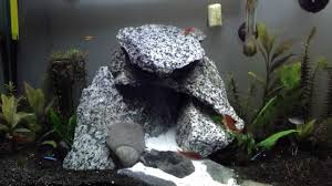 Now drill a hole in the top of one of the elbows, the size of the air tube. Waterfall Aquarium Trial Water Pump Instead Of Air Pump Youtube