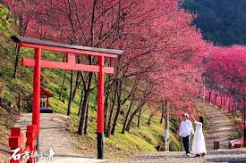 The site owner hides the web page description. éå…¥å¾©èˆˆå±±å€çŽ©ä¸€å¤© éš±è—ç‰ˆæ™¯è§€å'–å•¡èƒ½è³žèŠ± åƒæ ªæ«»èŠ±é–‹å¾—æ­£ç¾Ž Ettodayæ—…éŠé›² Ettodayæ–°èžé›²
