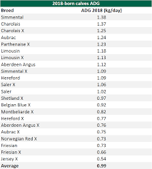 Which Cattle Breed Recorded The Highest Average Daily Gain