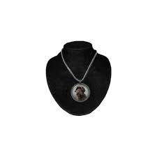 Image result for griffon korthalsův