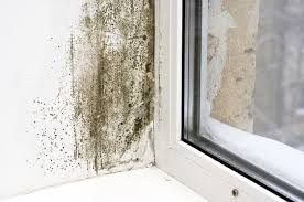 Comment ventiler un mur humide. Humidite Mur Comment Traiter Le Probleme