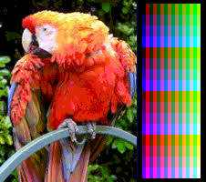 The printer will not print while. List Of Color Palettes Wikipedia