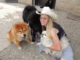 Hair and fur are chemically indistinguishable, having the same chemical composition, and are made of keratin. Knit Your Dog Company Will Turn Your Pet S Hair Into A Sweater Daily Mail Online