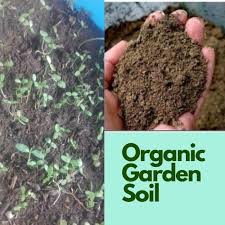 Work it into the top few inches of soil. Garden Soil 3kgs Loam Soil For Vegetables And Fruits Shopee Philippines