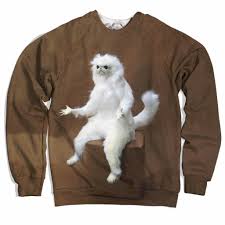 Confused Persian Cat Sweater Soscribbly Persian Cat Room Guardian Cat Room Persian Cat