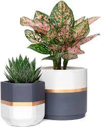 Large splatter ceramic plant pots. Amazon Com Mkono Ceramic Planters 5 And 6 3 Inch Indoor Modern Flower Plant Pot Set Of 2 Geometric Gardening Pots With Drainage For All House Plants Herbs Flowers Gold And Grey Detailing