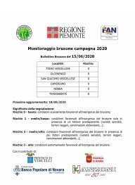 Indirizzo di contatto, numero di telefono, indirizzo internet, pagine di social network, fax, ecc. Riso Italiano Primo Bollettino Ente Risi Brusone Zero Facebook