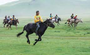 horse racing at local naadam festival horses horse race game mongolia
