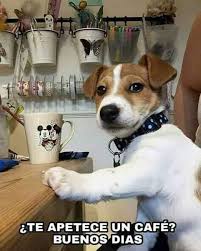 Resultado de imagen para Buenos días con cafe y mascota