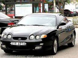 Image result for Wild Rose 1999 Tiburon