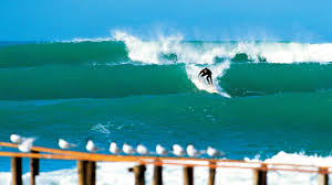 Image result for foto surfínie