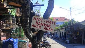 This is the list of words having different meanings in british and american english: Indonesian Phrasebook Travel Guide At Wikivoyage