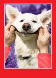White dog says i love you a funny valentines card from the dog this dog is expressing its love for you in the universal language of a heart symbol! Funny Valentine S Day Ecard Smile Dog Valentine From Cardfool Com