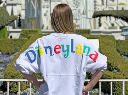 Best Disneyland Spirit Jerseys Revealed By You