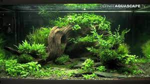 Learning about these requirements of aquarium life, the aquascape styles, and how to plan an aquascape will reduce frustration and help you construct pleasing creations. Aquascaping The Art Of The Planted Aquarium 2013 Xl Pt 2 Youtube