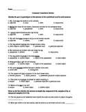 8th grade grammar review packet 1. 8th Grade Grammar Worksheets Teaching Resources Tpt