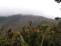 Agoh chalet, tahan guest house, nusa holiday village, abot guest house, and many. Gunung Tahan Gunung Bagging