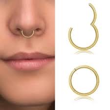 Rotate the ring such that the opening faces the exterior of the nostril and force the ends of the rings back to its original position. Ldurian 316l Surgical Stainless Steel Hypoallergenic Hinged Nose Ring Hoop 18 20 Gauge Diameter 6mm 7mm 8mm 9mm With Silver Gold Rose Gold Nose Piercing Jewelry Hoop For Women Men With Retainer