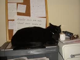 Printer Ustunde Uyur