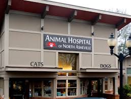 You can see how to get to all pets animal hospital on our website. Asheville Vet Animal Hospital Our Vets In Asheville Nc