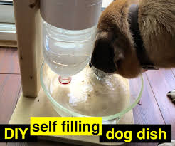 Luter 2 pieces collapsible dog bowls silicone food water travel bowl with lids portable expandable pet feeding watering cup dish for. Diy Self Watering Dog Dish 11 Steps With Pictures Instructables