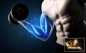 Le nadh, de son nom scientifique ainsi, une étude effectuée auprès de sportifs professionnels a démontré que la prise de 10 mg d'hydrure de nicotinamide adénine dinucléotide. Testosterone Proprietes Bienfaits Posologie Effets Mr Ginseng Com