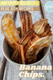 Air Fryer Secrets Plus 50 Recipes Bridgets Healthy Kitchen Air Fryer Recipes Snacks Recipes Air Fryer Healthy