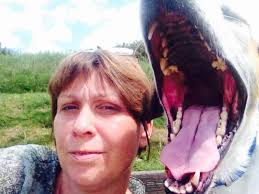 Which dog breed is Dracula's favorite? Bloodhounds.