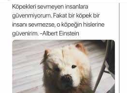 Canimsolyanim Adli Kullanicinin Hayata Dair Panosundaki Pin Guzel Soz Felsefe