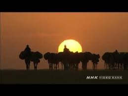 Select media type to see categories. Nhk Video Bank Camel Caravan In Tenere Desert Youtube