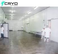 -18~40c Industrial Blast Freezer Cold Storage for Durian Cold Room Negative
