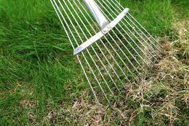 If that's not enough aerating is not nearly as traumatic as dethatching. How To Aerate When To Dethatch Your Lawn Diy True Value Projects True Value