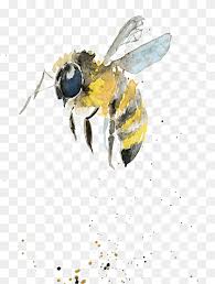 Honey Bee Bee Insects Happy Birthday Vector Images Bee Vector Png Pngwing 20 bee photoshop overlays, perfect for subtly changing the look of your photos giving them that extra flare. honey bee bee insects happy birthday