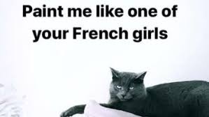 This cat is the world's most hateful cat, she hates everything and is fed up of whole world, learn more about this cat through these funny memes, you'll understand that you don't want to mess. Clean Cat Memes Amazing Animal Photos